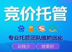 托管網(wǎng)絡(luò)營(yíng)銷(xiāo)